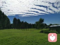 時節雖有冷暖，處處皆有清歡，祝君眉目舒展，順問秋安?配圖