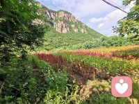 人要有翻篇的能力，不依不饒就是畫地為牢，困不住別人，卻困住了自己。配圖