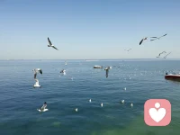 說好的征途是星辰大海，豈能困于塵埃之間？配圖