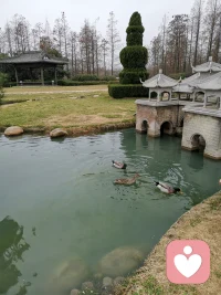 痛苦，是不被我們所接受的體驗。如果你覺得自己可以承受，那么就讓痛苦像水流一樣流動起來吧，思維和想法也會隨之自然發(fā)展。配圖