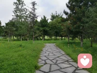 每一次對內心沖突的覺察，都是向更完整自我邁出的一步。配圖