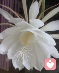 分開(kāi)后減輕孩子傷害的最大秘訣：父母要有孩子以外的生活空間。配圖