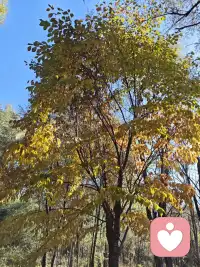 工作價值和人生目標的短暫迷茫，會成為新一周重返崗位的心理阻力。工作是目標，不是場所。非金錢誘因（比如認同、關注、尊重和責任）比金錢誘因更能讓你在工作中找到滿足感。配圖