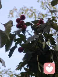 如果你的目標是彌補過去的遺憾，那你的未來也會被過去的失去所決定。配圖