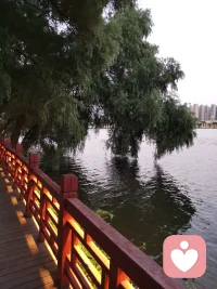 當控制權喪失，幸福感會急劇下跌。配圖