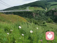 療愈自己最好的方式，就是把自己的世界變大，讓其他的關(guān)系，來(lái)填充你的生活，讓其他的信息，逐漸充斥頭腦。配圖