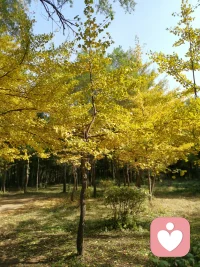 作為父母，從什么時候學習愛都不晚。無論你秉持什么樣的教育理念，看見和滿足孩子的情感需要，都是至關重要的事。配圖