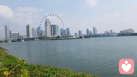 冥想：身心放松的力量