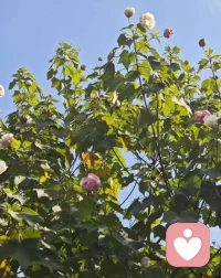 深刻的體驗是意義感的來源，是生活的本質。體驗重要的不是好或者壞，快樂還是痛苦，而是深刻還是膚淺。配圖