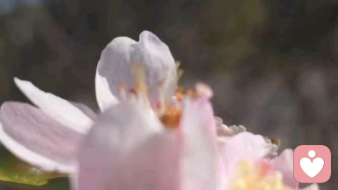 了解稀缺心态，摆脱贫穷与忙碌！