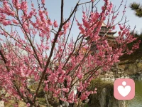 我們特別容易記住自己逆風前行時付出的努力，而忘記了順風時的運氣。配圖