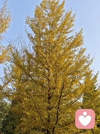 攀比就像一場沒有人能打贏的戰役，取勝的唯一辦法是根本不要加入這場戰爭——用知足的態度接受一切，即使這意味著自己比周圍的人遜色。配圖