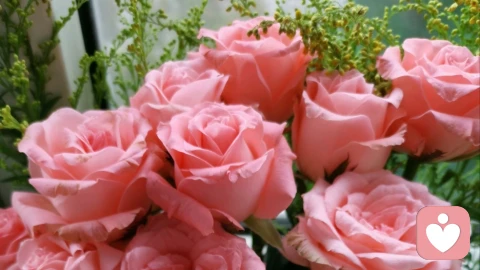 英语情话（Love words in English ）