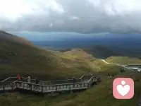 中年绝不是危机阶段，绝不意味着人生开始走下坡路，相反，它是触底反弹，是活出真我的开端。中年人有两件事应该尽量少做，一是用自己的嘴干扰别人的人生。二是靠别人的脑子思考自己的人生。