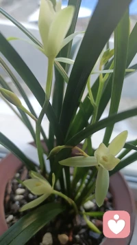 幸福感最关键的要素是社交联系，而衰老最大的敌人是孤独感。和胆固醇水平相比，人际关系质量更能决定我们年老时是否健康。配图