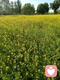 久病床前无孝子，不是人性的冷漠，而是关系的欠账。如果爱恨没有被充分表达，疾病的到来有如一面放大镜，暴露出过往家庭矛盾中未处理的创伤。健康时的关系建设，是对未来风雨的最好准备。如已身处风暴中，对自己和他人的慈悲，是比“孝道”更真实的人性光芒。配图