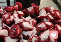 每个人都处在成瘾的光谱中。“戒瘾”本身不是目的，我们真正的目的是从整体上建立更平衡的生活方式。配图