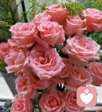 你越表现出对你的另一半感兴趣，你在ta眼中的吸引力就越高。It’s good to be interesting. It’s better to be interested. 有趣很好，感兴趣更好。让我们在亲密关系中保持好距离，既彼此独立，又温暖相依。配图