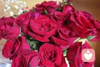 长久常新的爱情——你一次次地爱上了不同的Ta，又一次次地爱上了同一个人。配图