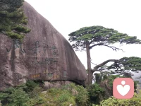 当拉着你登山的时候，你当然会感到很累，但是你能看到风景，能积攒势能。而把你往沟里带时，你一定会感到很轻松，往下出溜就好了。但一旦你掉进沟里，要爬出来花的力气，可就比登山大得多了。配图
