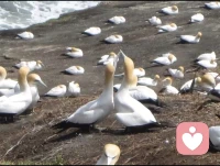 说好的“我养你”突然成了泡影，带来的不仅是经济的震荡，更是对信任和自我价值的冲击。而正是这种幻灭，凸显了女性自立的底层逻辑——它不仅是谋生手段，更是一种能随时为自己兜底的能力。配图