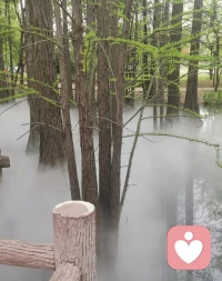 青春期叛逆是孩子需要成长的空间，而孩子推开你的手恰恰是因为知道你永远不会真的离开。要让孩子理解爱既有关怀，也有界限。“你需要我的时候，我近在眼前；你不需要我的时候，我远在天边”。配图