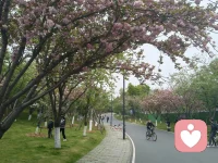 比起炸场的火爆，冷场才是人生常态。快乐和得意都是一瞬间的，孤独、寂寞、尴尬、求而不得才会一直伴随着我们。配图