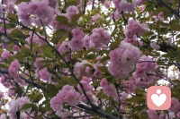 The spring breeze, grass, sunshine, and birdsong—they're like nature's best healers. Hanging out with your kid in the middle of it all? That’s where you both grow and thrive together. 春天很短，童年更短。与孩子一起被春天看见吧，沉浸其中，彼此滋养，共同成长。配图