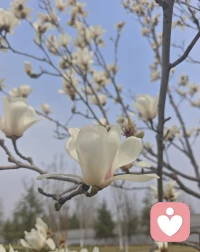 当社会将“完美身材”捧上神坛，当短视频里充斥着“要么瘦，要么死”的宣言，进食障碍现象太过常见。而比进食障碍更隐蔽的，是无数家庭正在经历的“情感代谢紊乱”——爱被异化成控制，关怀被扭曲为共生。当人们将“瘦”与“成功”挂钩时，当“好妈妈”被要求必须无私奉献、永远乐观时，这种扭曲的相互依存竟成了一些母女对抗世界的方式。配图