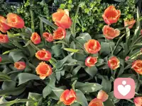 遗憾从来不是爱的反面，逃避真实才是。当你开始允许生活里出现那些不完美、不流畅、不可控的时刻，你才真正发出了“愿意去爱”的邀请函。祝新的一周元气满满。配图