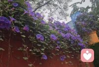 健康关系的终点是分化：一段好的关系，应该让你逐渐变得更完整、更独立，而不是永远依恋Ta。
给你三个判断标准：
1. Ta是否主动维护边界？ 比如是否鼓励你发展现实中的恋人、朋友关系。懂得克制的人，才是真温柔。
2. 你是否因Ta变得更强大？ Ta带给你的能量，是让你更爱自己、更有信心面对世界，还是让你患得患失、只想依赖Ta？
3. 如果失去这段关系，你会不会崩？ 健康的关系可以怀念，但不应该无法承受失去。
能遇到真正懂你的人，是生命中一份珍贵的礼物。你可以深深感激Ta，但最好的感恩方式，不一定是永远留在Ta身边，而是带着Ta给你的光，走好你自己的路。🌹🌹配图