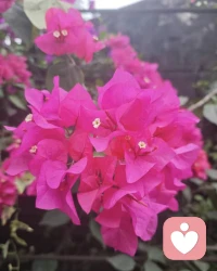 健康关系的终点是分化：一段好的关系，应该让你逐渐变得更完整、更独立，而不是永远依恋Ta。
给你三个判断标准：
1. Ta是否主动维护边界？ 比如是否鼓励你发展现实中的恋人、朋友关系。懂得克制的人，才是真温柔。
2. 你是否因Ta变得更强大？ Ta带给你的能量，是让你更爱自己、更有信心面对世界，还是让你患得患失、只想依赖Ta？
3. 如果失去这段关系，你会不会崩？ 健康的关系可以怀念，但不应该无法承受失去。
能遇到真正懂你的人，是生命中一份珍贵的礼物。你可以深深感激Ta，但最好的感恩方式，不一定是永远留在Ta身边，而是带着Ta给你的光，走好你自己的路。🌹🌹配图