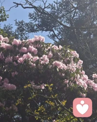 健康关系的终点是分化：一段好的关系，应该让你逐渐变得更完整、更独立，而不是永远依恋Ta。
给你三个判断标准：
1. Ta是否主动维护边界？ 比如是否鼓励你发展现实中的恋人、朋友关系。懂得克制的人，才是真温柔。
2. 你是否因Ta变得更强大？ Ta带给你的能量，是让你更爱自己、更有信心面对世界，还是让你患得患失、只想依赖Ta？
3. 如果失去这段关系，你会不会崩？ 健康的关系可以怀念，但不应该无法承受失去。
能遇到真正懂你的人，是生命中一份珍贵的礼物。你可以深深感激Ta，但最好的感恩方式，不一定是永远留在Ta身边，而是带着Ta给你的光，走好你自己的路。🌹🌹配图