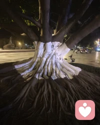 婚姻没有什么谁为谁牺牲，不过是你懂我的不易，我敬你的担当。彼此在爱中疗愈过往，让每一次裂痕都变成光照进来的地方。配图