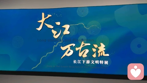 当孩子选择大学专业偏离了“实用导向”，家长该如何平衡焦虑与尊重？