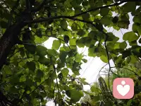 “被霸凌的我，怎么走出阴影？”—一接纳情绪，不硬扛。允许自己慢慢恢复，不必强迫自己立刻好起来。回到学校后，尽量和信任的同学、朋友待在一起，先让自己在校园里找到安全区，慢慢适应环境。坚持正念放松，缓解失眠焦虑。可以告诉父母，或者直接找学校的心理老师。牢记，错不在你！你只需要好好照顾自己，给自己一些时间和耐心。❤️配图