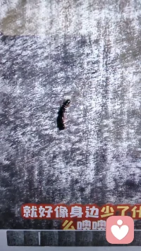 對于愛情的影響，沉沒成本也是非常重要的，例如初戀是美好的，一旦過去再回頭尋找，必將自尋煩惱，初戀為什么最美好，因為它基本上是失敗的，而經濟學的嚴格證明發現，得不到的對你而言是代價最高的，也就是你評價最好的，但是一旦如愿呢，就沒有那么美好了。所以老夫老妻很容易出現左手摸右手的感覺，相反越是轟轟烈烈的愛情，越是短暫就是這個道理配圖