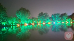 家庭里最善良最有责任心的伴侣最终活成了什么样？