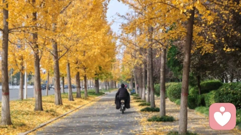 為啥刷小視頻會上癮,可刷一天感覺也沒有收獲
