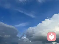 被打回原形不可怕，可怕的是從未敢現出原形配圖