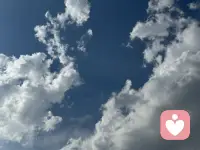 人生天地之間，若白駒過隙，突然而已。配圖