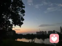 每一次挫折都是重新審視目標的契機，真正的失敗者不是跌倒的人，而是因恐懼失敗而放棄嘗試的人。配圖