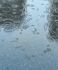 暴雨中奔跑的意象：能从暴风雨里走出来的人，靠的不是那把伞，而是一颗坚定的心，强调内在韧性对现实困境的突破价值