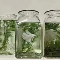 很多時候，當下那個我們以為邁不過去的檻，一段時間之后回過頭看其實早就輕松跳過；當下那個我們以為撐不過去的時刻，其實忍著熬著也就自然而然地過去了。這世間沒有能夠真正打敗你的東西。配圖