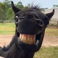 开心一下😄
某精神病患在写信，护士问：“你要写给谁啊?”病人：“写给我自己!”护士：“信中写些什么啊?”病人：“你神经病啊!我还没收到怎么知道?”