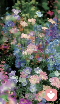 [得意]選擇悖論
[疑問]為什么選擇越多，反而越不快樂？ 
[機智]這是“選擇過載效應”：選項太多會導致決策疲勞和后悔感。 
[666]下次糾結時，告訴自己：“足夠好”的選擇就是最好的選擇。
?配圖