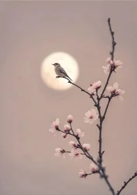 非常治癒的一段話：
“ 生活沒有如果，只有結果，自己盡力了，努力了，就好。”
時間在走，日子還要繼續，接受現實，所有的經歷皆是成長。無論發生什麼，都微笑去面對生活，錯過的人和事，也終將教會我們懂得珍惜。
別想太多，好好生活，也許日子過著過著就會有答案，努力走著走著就會有溫柔的著落。
春在路上，花在枝上，所有的美好都在路上，努力過好自己的日子，偶爾慌亂，偶爾平穩，都各有滋味。
我們終其一生尋找的應該是自己喜歡的生活和想成為的人。
所以，多走點彎路沒關係的，花很多時間在路上也不要緊的，和世俗或是別人期待的不一樣也可以的，只要你在成為你的路上就夠了。