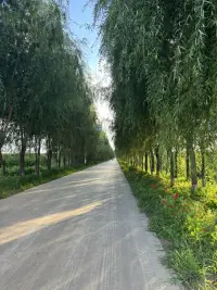 帶我生的
回到生我養我的家鄉
幸福感滿滿??配圖