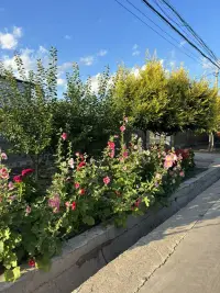 帶我生的
回到生我養我的家鄉
幸福感滿滿??配圖