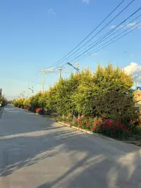 帶我生的
回到生我養我的家鄉
幸福感滿滿??配圖